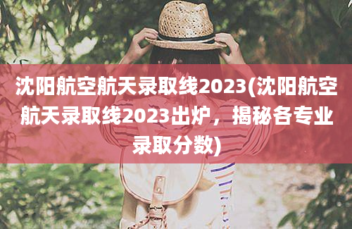 沈阳航空航天录取线2023(沈阳航空航天录取线2023出炉，揭秘各专业录取分数)