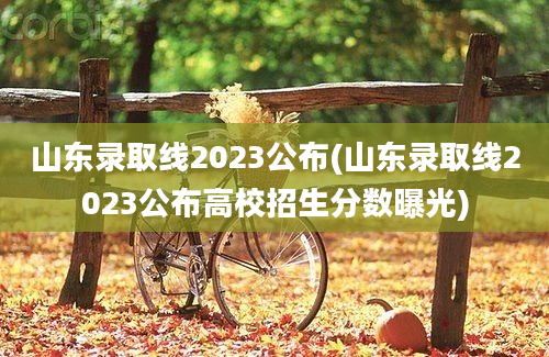 山东录取线2023公布(山东录取线2023公布高校招生分数曝光)