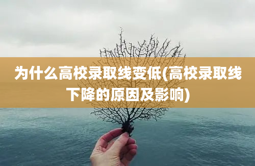 为什么高校录取线变低(高校录取线下降的原因及影响)