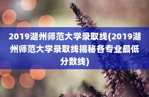 2019湖州师范大学录取线(2019湖州师范大学录取线揭秘各专业最低分数线)