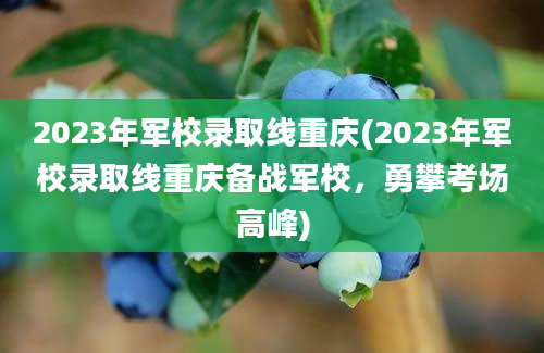 2023年军校录取线重庆(2023年军校录取线重庆备战军校，勇攀考场高峰)