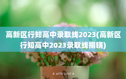 高新区行知高中录取线2023(高新区行知高中2023录取线揭晓)