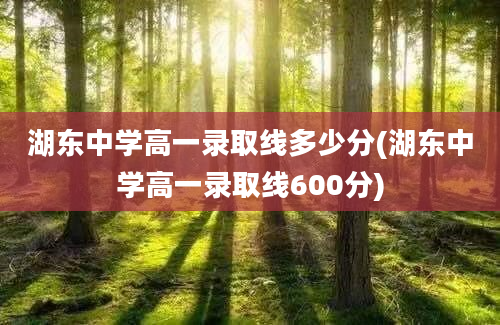 湖东中学高一录取线多少分(湖东中学高一录取线600分)