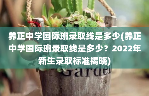 养正中学国际班录取线是多少(养正中学国际班录取线是多少？2022年新生录取标准揭晓)