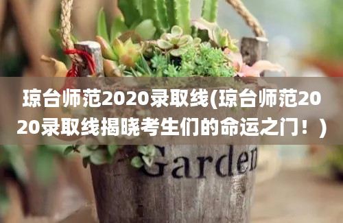 琼台师范2020录取线(琼台师范2020录取线揭晓考生们的命运之门！)