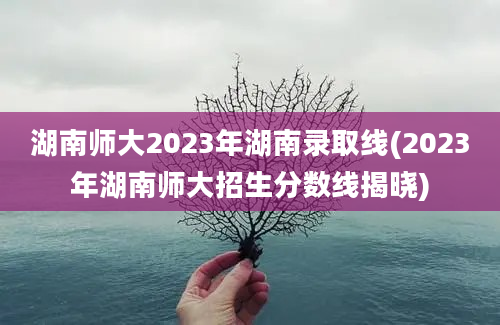 湖南师大2023年湖南录取线(2023年湖南师大招生分数线揭晓)