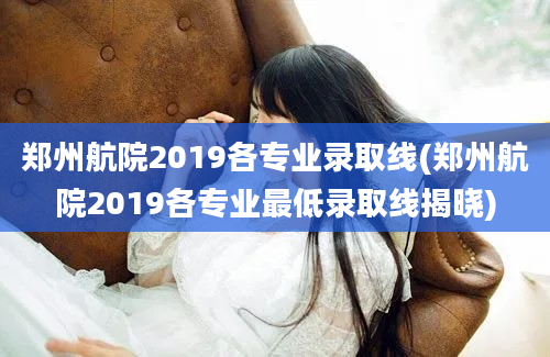 郑州航院2019各专业录取线(郑州航院2019各专业最低录取线揭晓)