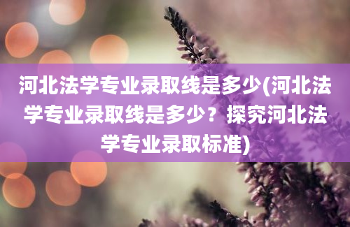 河北法学专业录取线是多少(河北法学专业录取线是多少？探究河北法学专业录取标准)