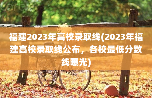 福建2023年高校录取线(2023年福建高校录取线公布，各校最低分数线曝光)