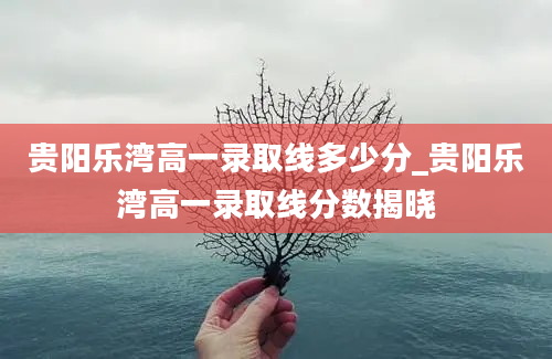 贵阳乐湾高一录取线多少分_贵阳乐湾高一录取线分数揭晓