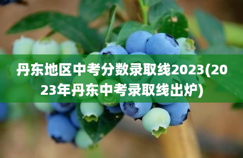 丹东地区中考分数录取线2023(2023年丹东中考录取线出炉)