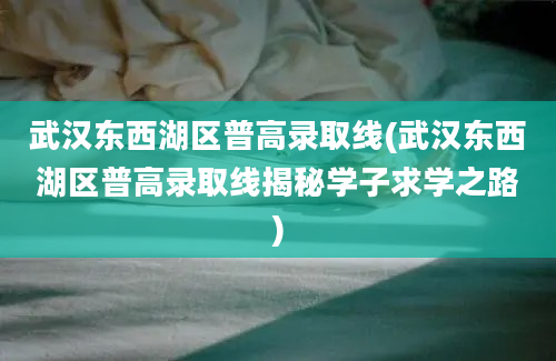 武汉东西湖区普高录取线(武汉东西湖区普高录取线揭秘学子求学之路)