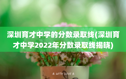 深圳育才中学的分数录取线(深圳育才中学2022年分数录取线揭晓)