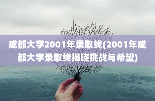 成都大学2001年录取线(2001年成都大学录取线揭晓挑战与希望)