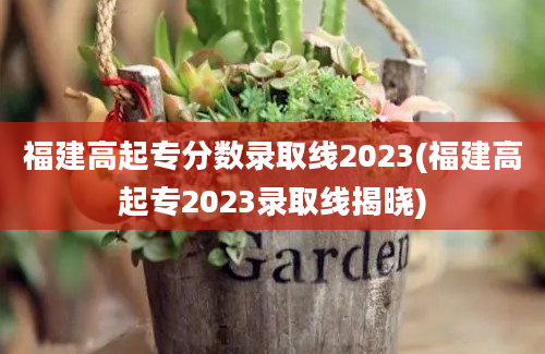 福建高起专分数录取线2023(福建高起专2023录取线揭晓)