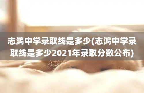 志鸿中学录取线是多少(志鸿中学录取线是多少2021年录取分数公布)