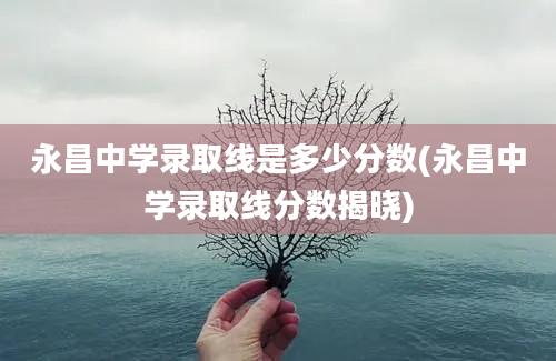 永昌中学录取线是多少分数(永昌中学录取线分数揭晓)