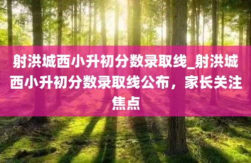 射洪城西小升初分数录取线_射洪城西小升初分数录取线公布，家长关注焦点