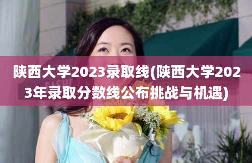 陕西大学2023录取线(陕西大学2023年录取分数线公布挑战与机遇)