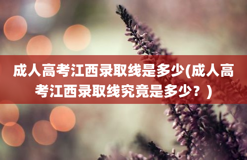 成人高考江西录取线是多少(成人高考江西录取线究竟是多少？)