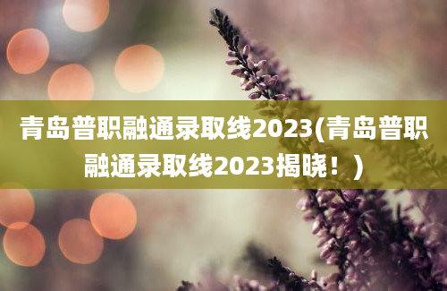 青岛普职融通录取线2023(青岛普职融通录取线2023揭晓！)