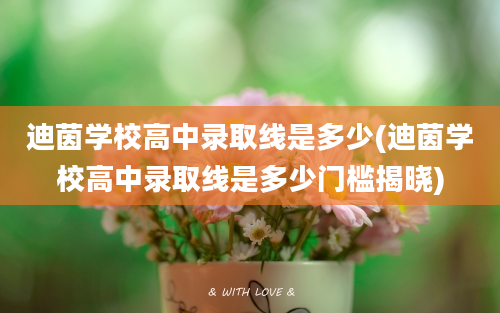 迪茵学校高中录取线是多少(迪茵学校高中录取线是多少门槛揭晓)