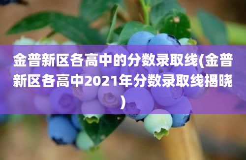 金普新区各高中的分数录取线(金普新区各高中2021年分数录取线揭晓)