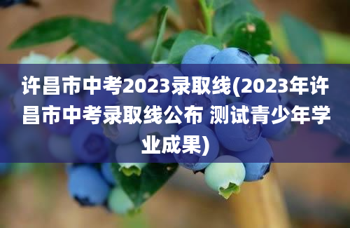 许昌市中考2023录取线(2023年许昌市中考录取线公布 测试青少年学业成果)
