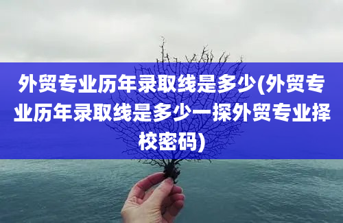 外贸专业历年录取线是多少(外贸专业历年录取线是多少一探外贸专业择校密码)