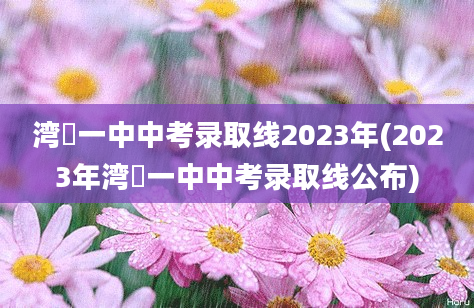 湾沚一中中考录取线2023年(2023年湾沚一中中考录取线公布)