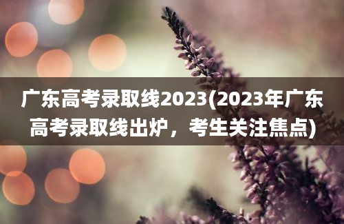 广东高考录取线2023(2023年广东高考录取线出炉，考生关注焦点)