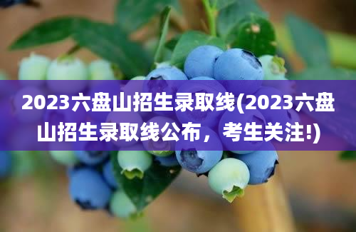 2023六盘山招生录取线(2023六盘山招生录取线公布，考生关注!)