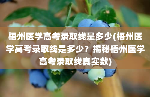 梧州医学高考录取线是多少(梧州医学高考录取线是多少？揭秘梧州医学高考录取线真实数)