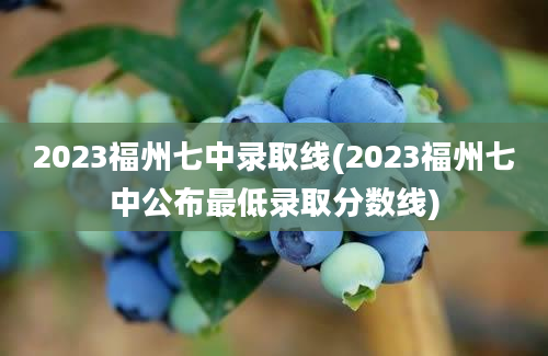 2023福州七中录取线(2023福州七中公布最低录取分数线)