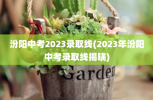 汾阳中考2023录取线(2023年汾阳中考录取线揭晓)