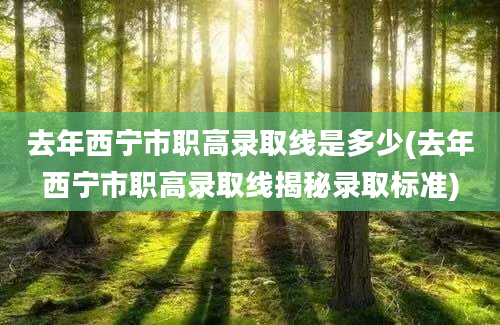 去年西宁市职高录取线是多少(去年西宁市职高录取线揭秘录取标准)