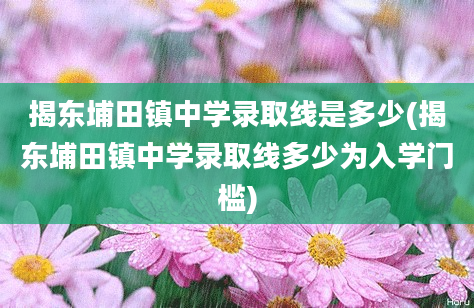 揭东埔田镇中学录取线是多少(揭东埔田镇中学录取线多少为入学门槛)