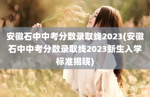 安徽石中中考分数录取线2023(安徽石中中考分数录取线2023新生入学标准揭晓)