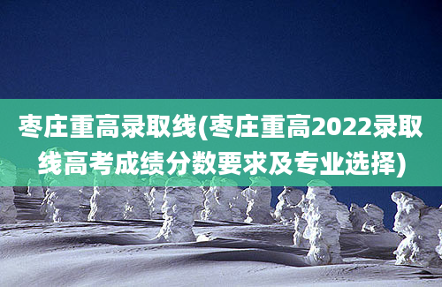 枣庄重高录取线(枣庄重高2022录取线高考成绩分数要求及专业选择)