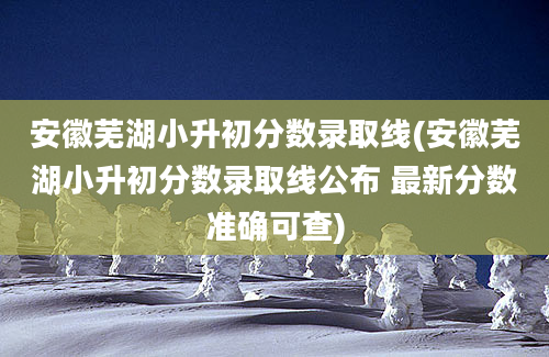 安徽芜湖小升初分数录取线(安徽芜湖小升初分数录取线公布 最新分数准确可查)