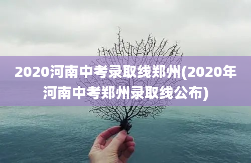 2020河南中考录取线郑州(2020年河南中考郑州录取线公布)