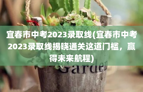 宜春市中考2023录取线(宜春市中考2023录取线揭晓通关这道门槛，赢得未来航程)