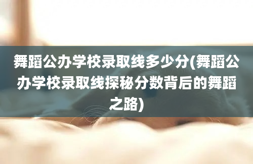 舞蹈公办学校录取线多少分(舞蹈公办学校录取线探秘分数背后的舞蹈之路)