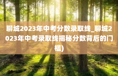 聊城2023年中考分数录取线_聊城2023年中考录取线揭秘分数背后的门槛)