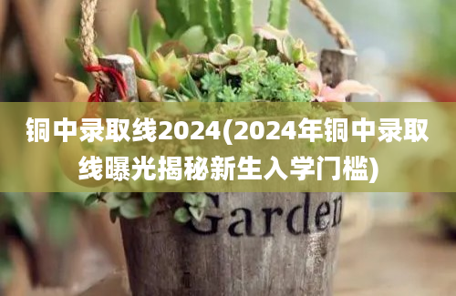 铜中录取线2024(2024年铜中录取线曝光揭秘新生入学门槛)