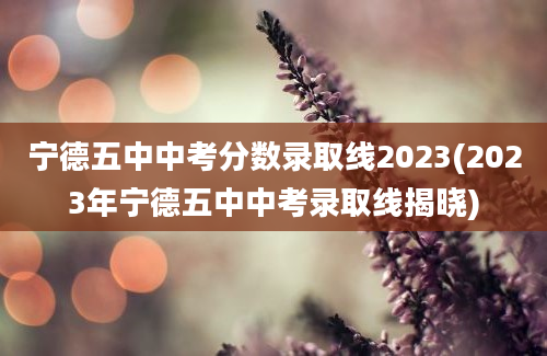 宁德五中中考分数录取线2023(2023年宁德五中中考录取线揭晓)