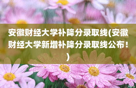 安徽财经大学补降分录取线(安徽财经大学新增补降分录取线公布！)