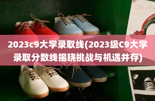 2023c9大学录取线(2023级C9大学录取分数线揭晓挑战与机遇并存)