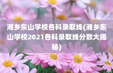 湘乡东山学校各科录取线(湘乡东山学校2021各科录取线分数大揭秘)