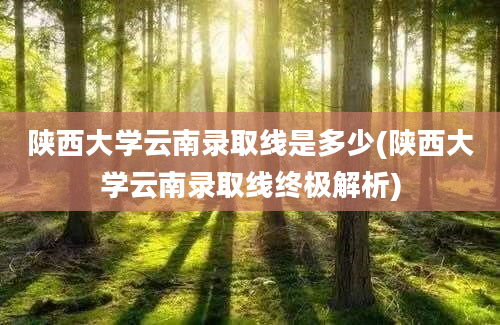 陕西大学云南录取线是多少(陕西大学云南录取线终极解析)